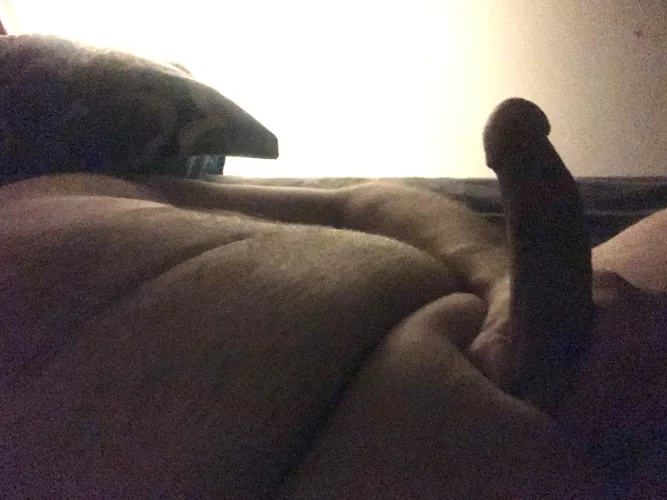 Need a hot sissy chub to 69 with by kittycakes2023