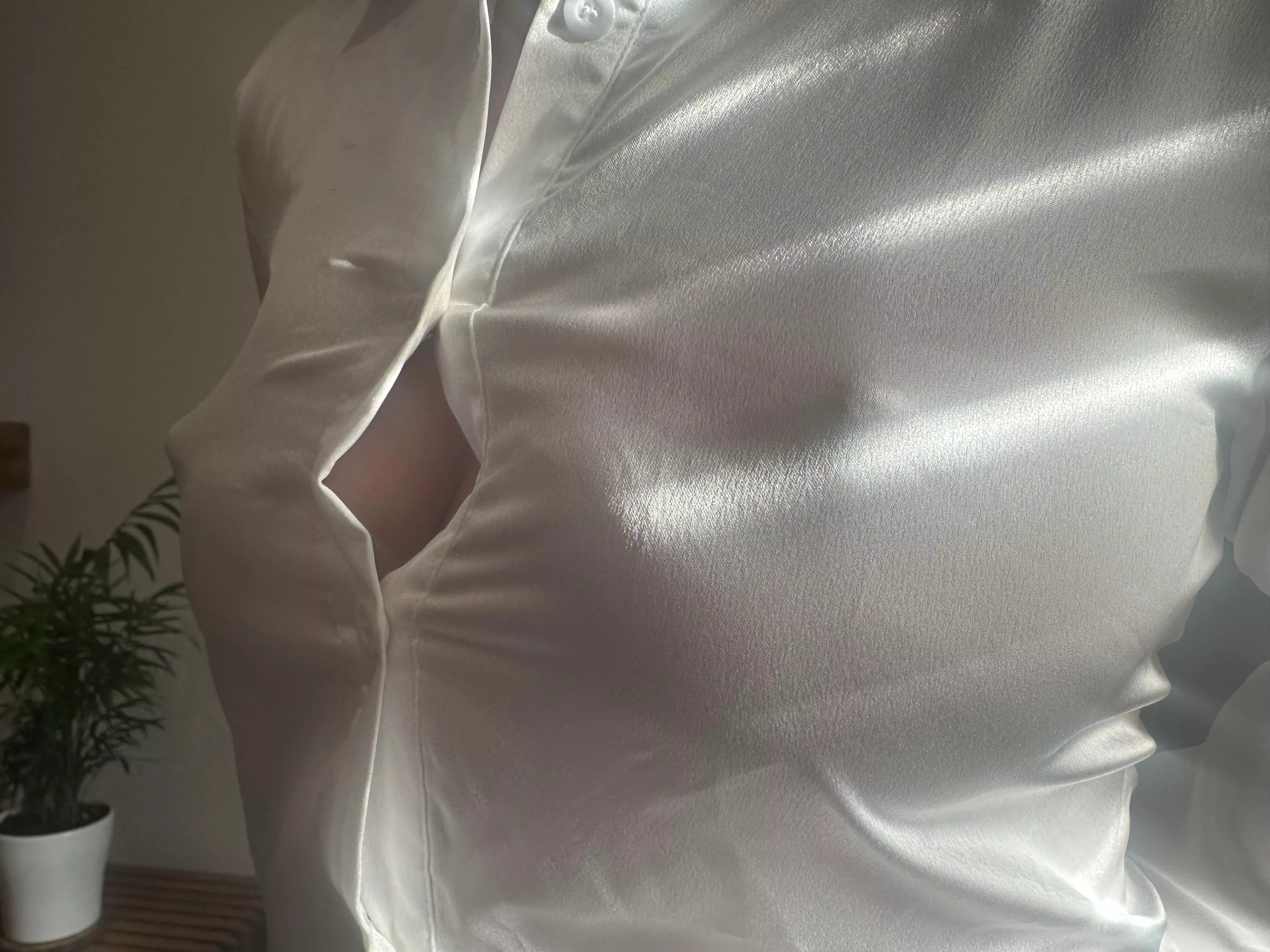 No bra at work today but didn’t realise my blouse was quite so transparent, in the sunshine. posted by Zealousideal-Fix-967