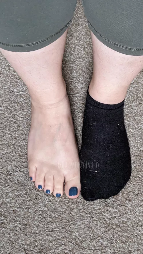 On Or Off? by HarmonyHallux