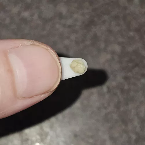 Reddit.. I did it! My first success. by Phoenix-91