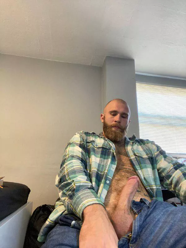 Should we paint each other’s beards 🍆💦? posted by stephenkemp05