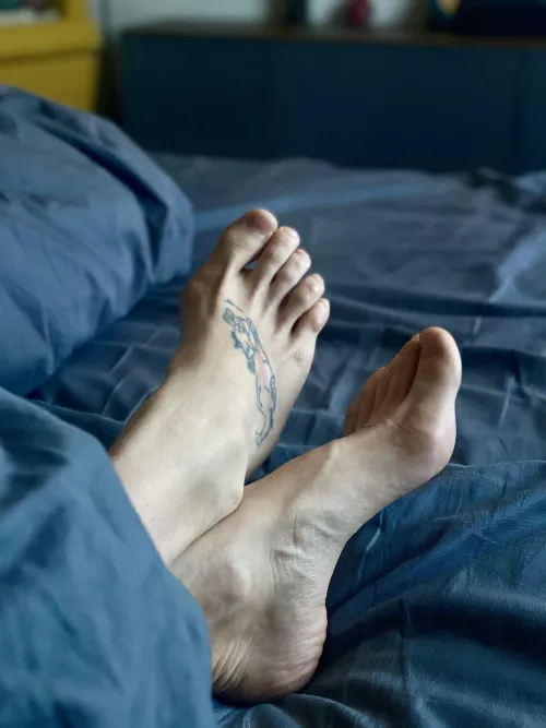 Tattoo Fox ;) by WillingAstronaut1838