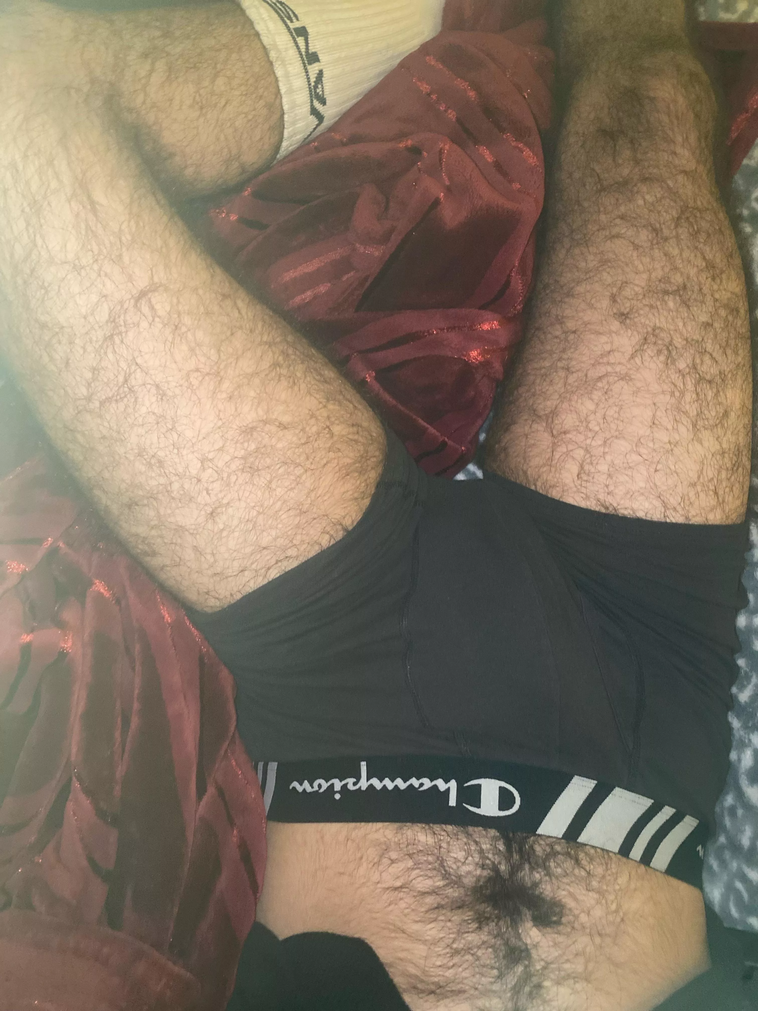 who wants these legs around their head? posted by Beary19guy