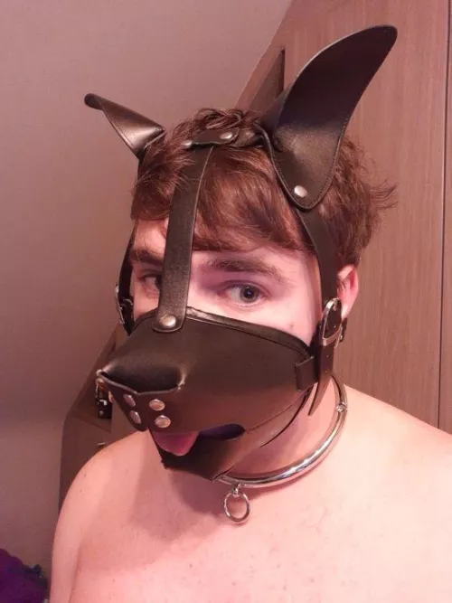 Woof woof by MikePersonals