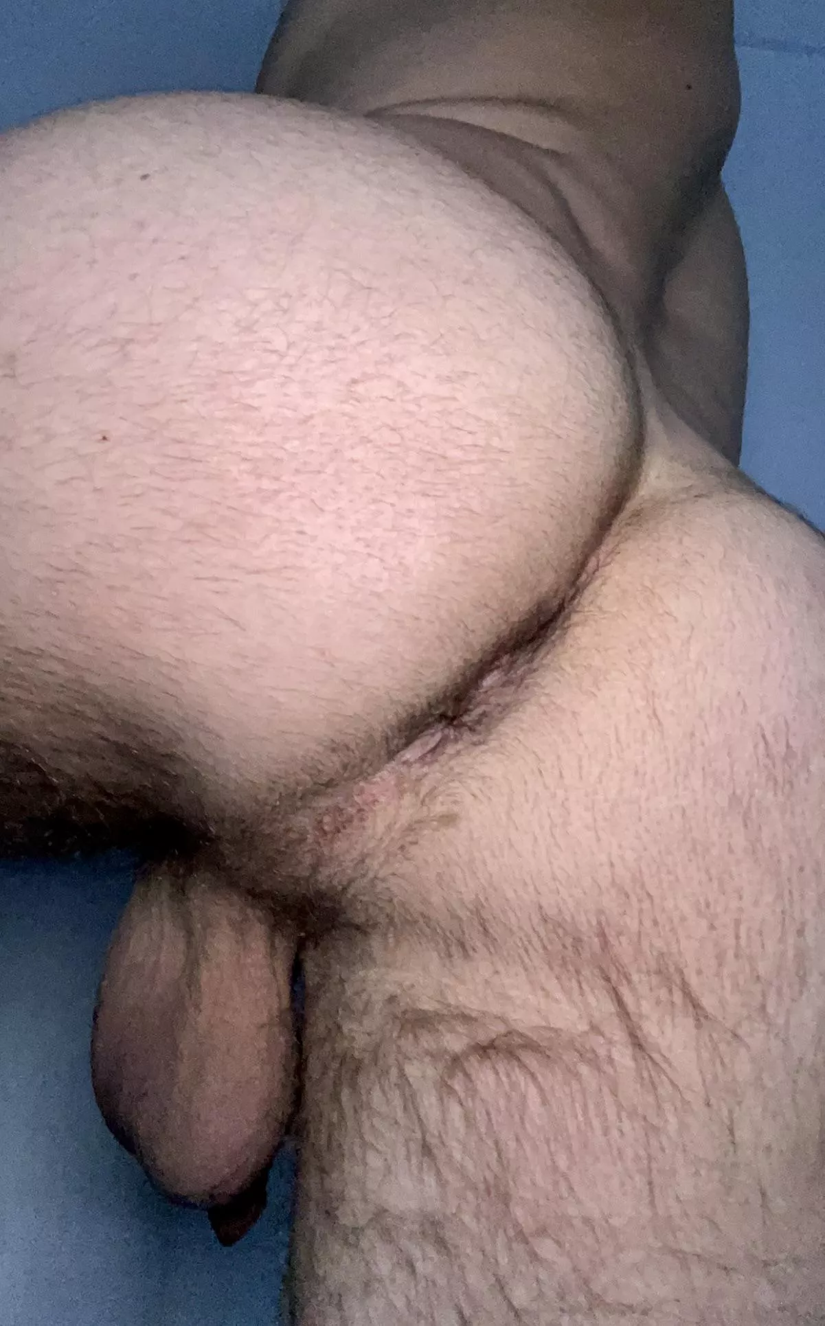 28. Uncut jock looking for coach to help train me. DM for snap posted by Verspoler