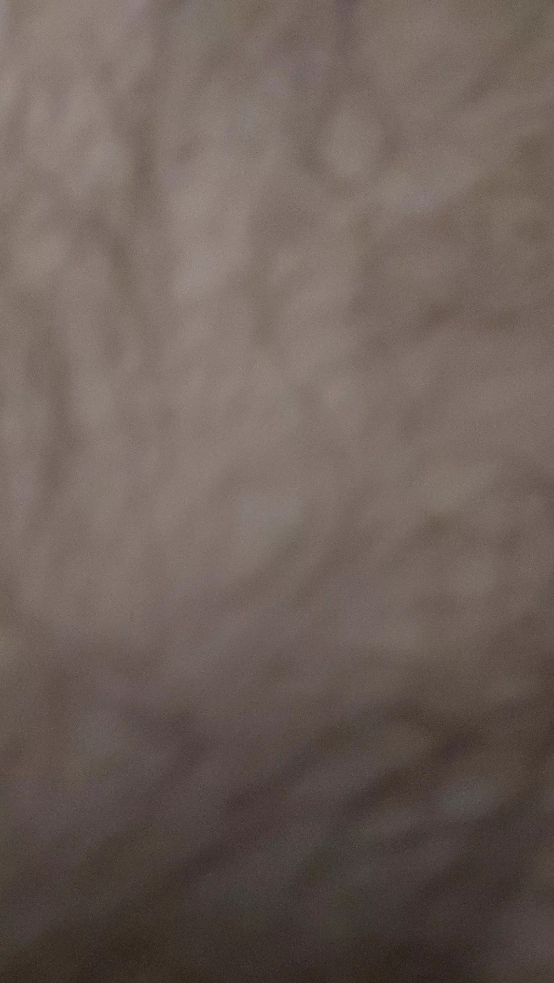 29 message me jonas191 6 I wanna show off sitting here naked :) posted by Interesting_Bus3370