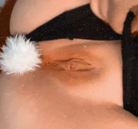 Do you like bunnies hehe by Dainty-Bunni_