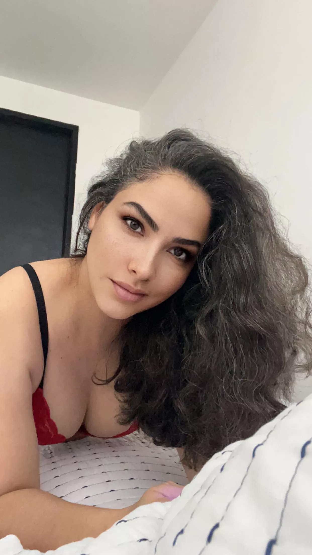 Do you like what you see F40 posted by Resident_Rub_5315