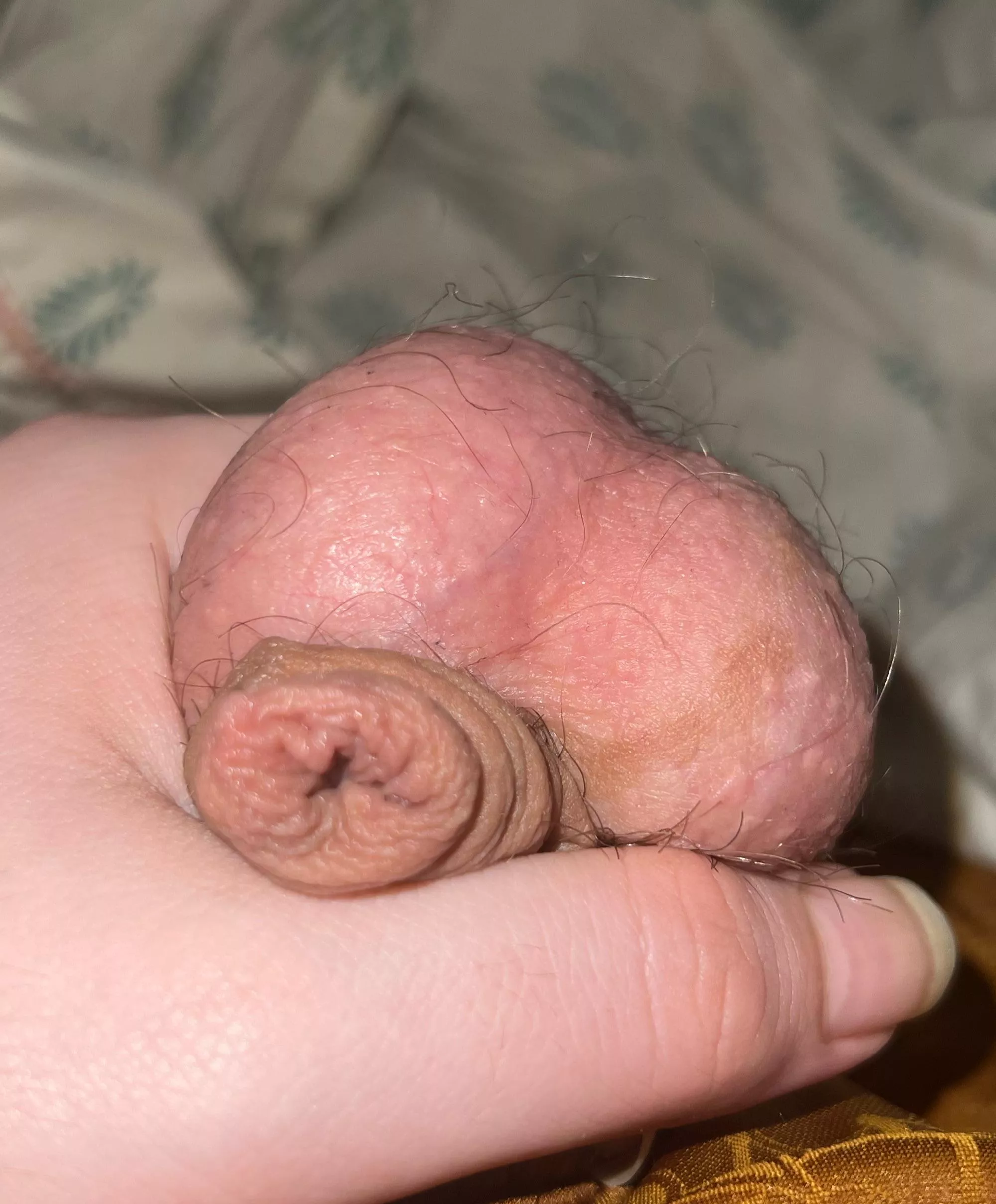 help me get hard and cum! chub4chub (24) ssbhm +++ posted by Deep_Ad_96