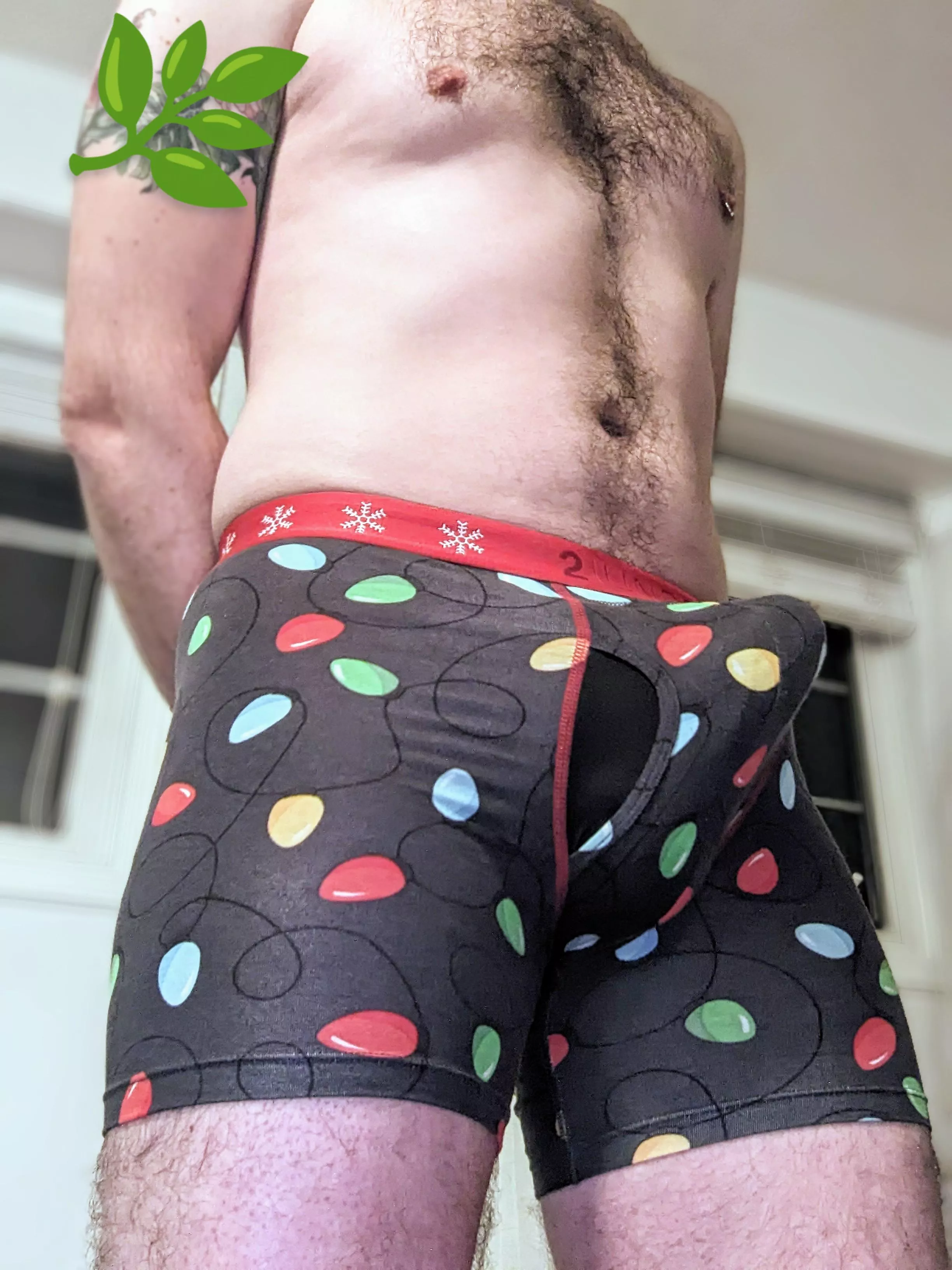 Help me take down the Christmas lights? posted by Bookie_Monster86