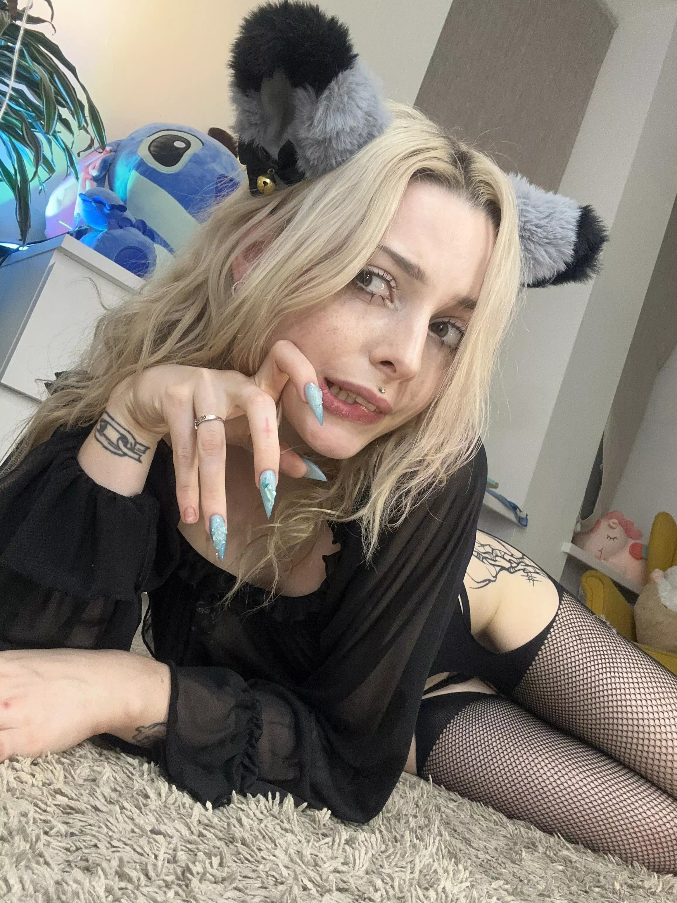 I am a kitten looking for an owner, do you want to be my owner? posted by HottieFromHeaven