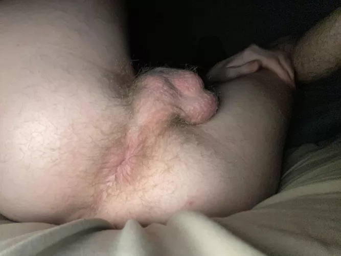 If you saw my ass out would you eat it? by hunghoncho-101