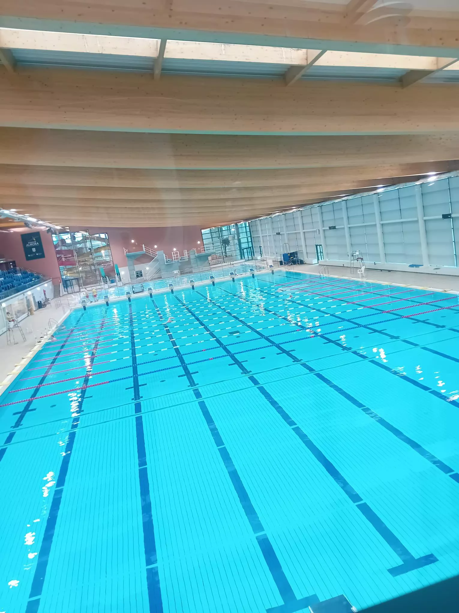 (m) 33 posted by Hungry_Thanks_1867