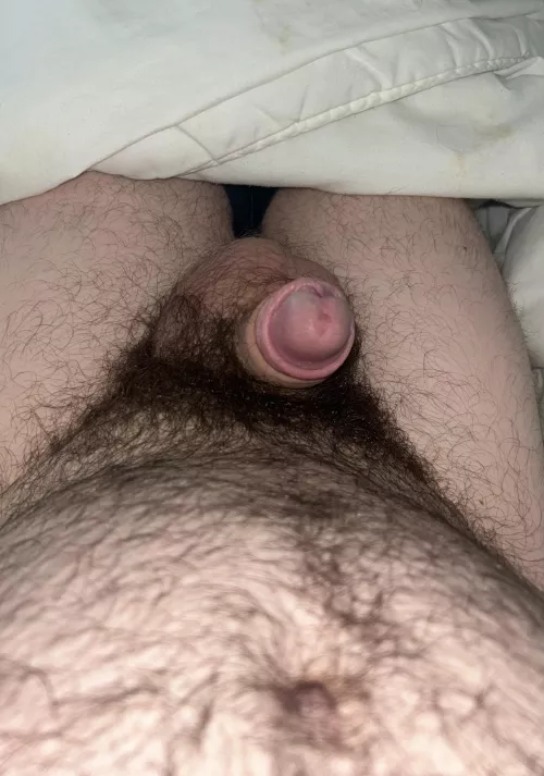 Morning erection 🙄 by UnGarsFrancais