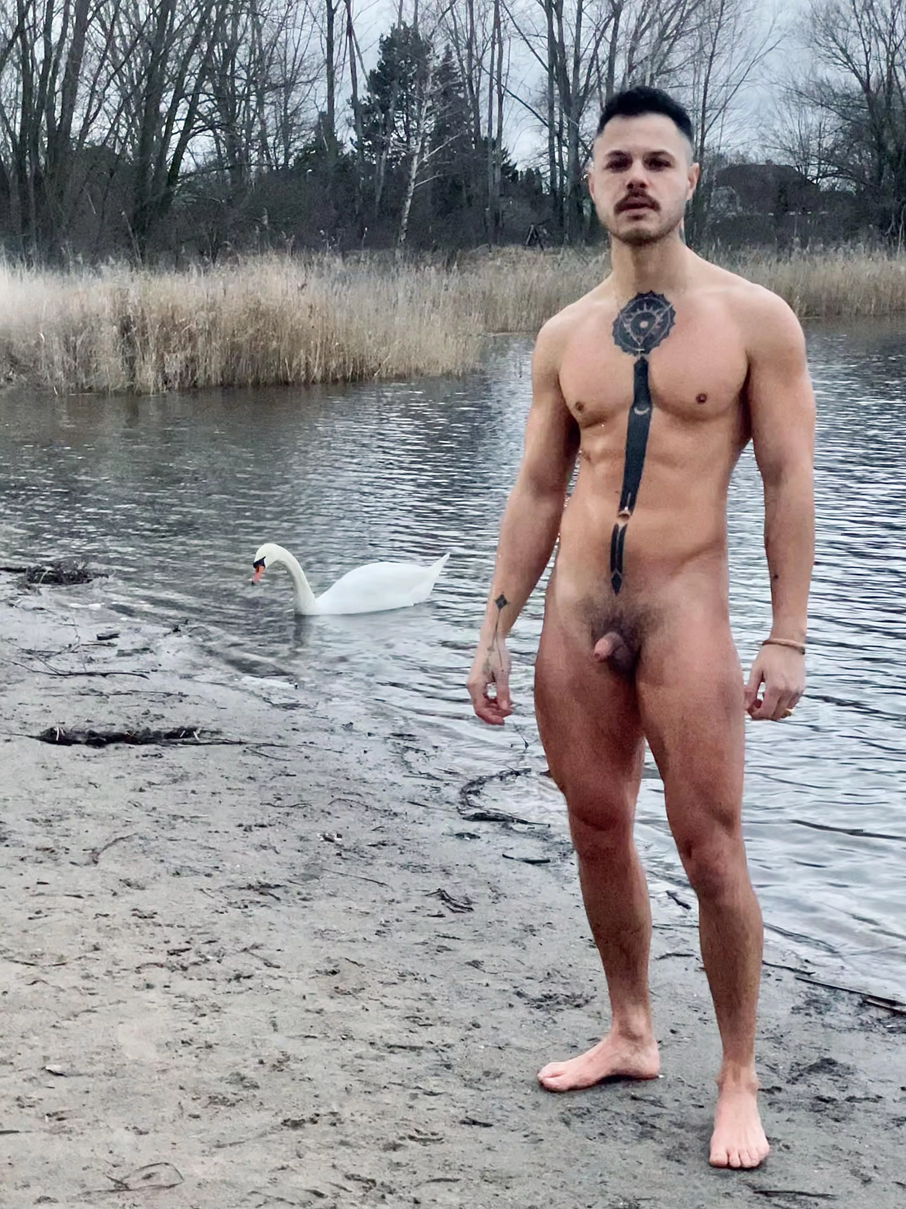 Noone else joined but the swan :) posted by n0aNo4