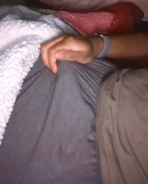 Nothing better than morning wood by Mr-DongAlong