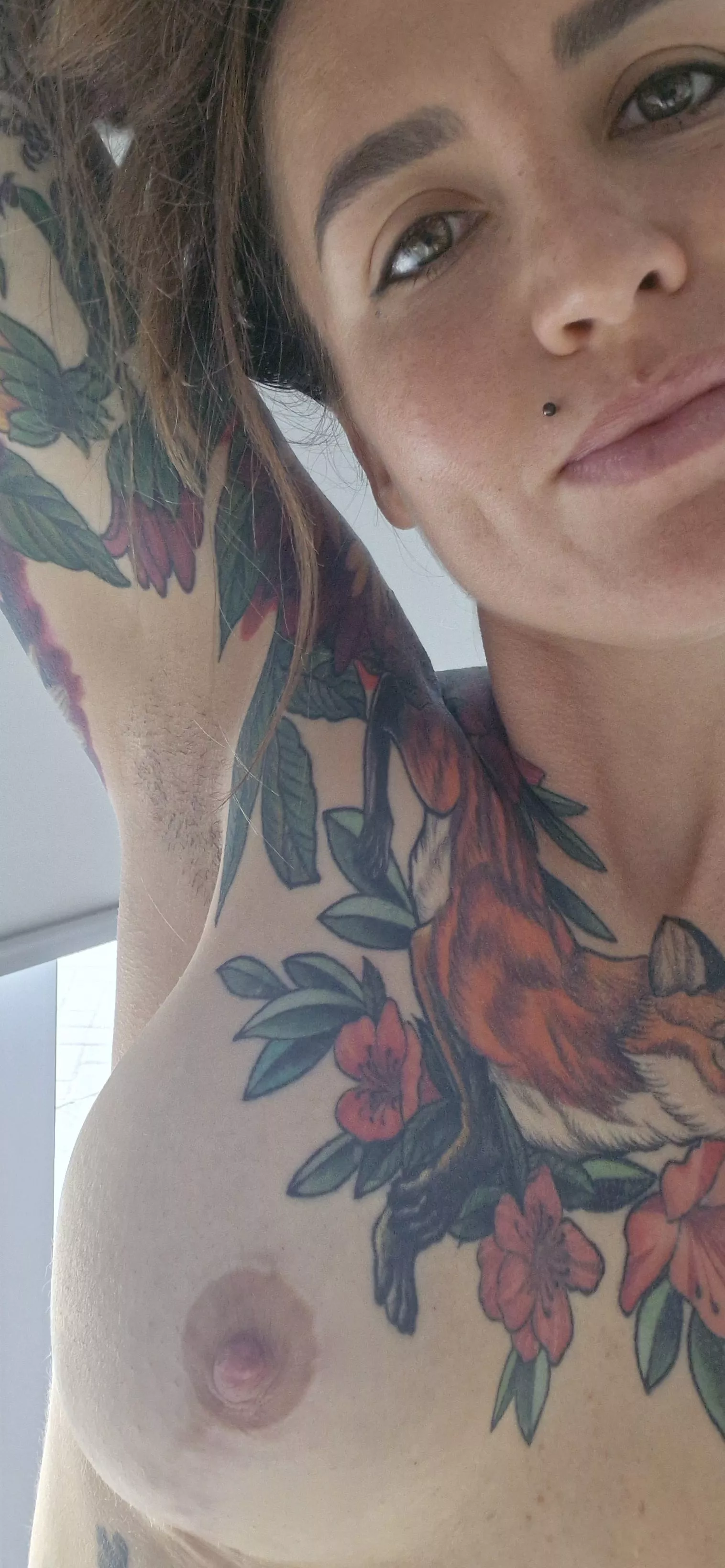 Say hello to my little friend! posted by clandestine_callie