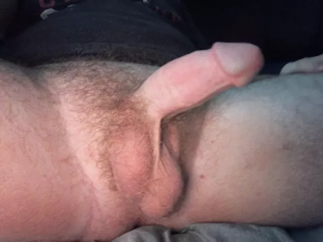 Should I shave it? by BoredGuy1999x