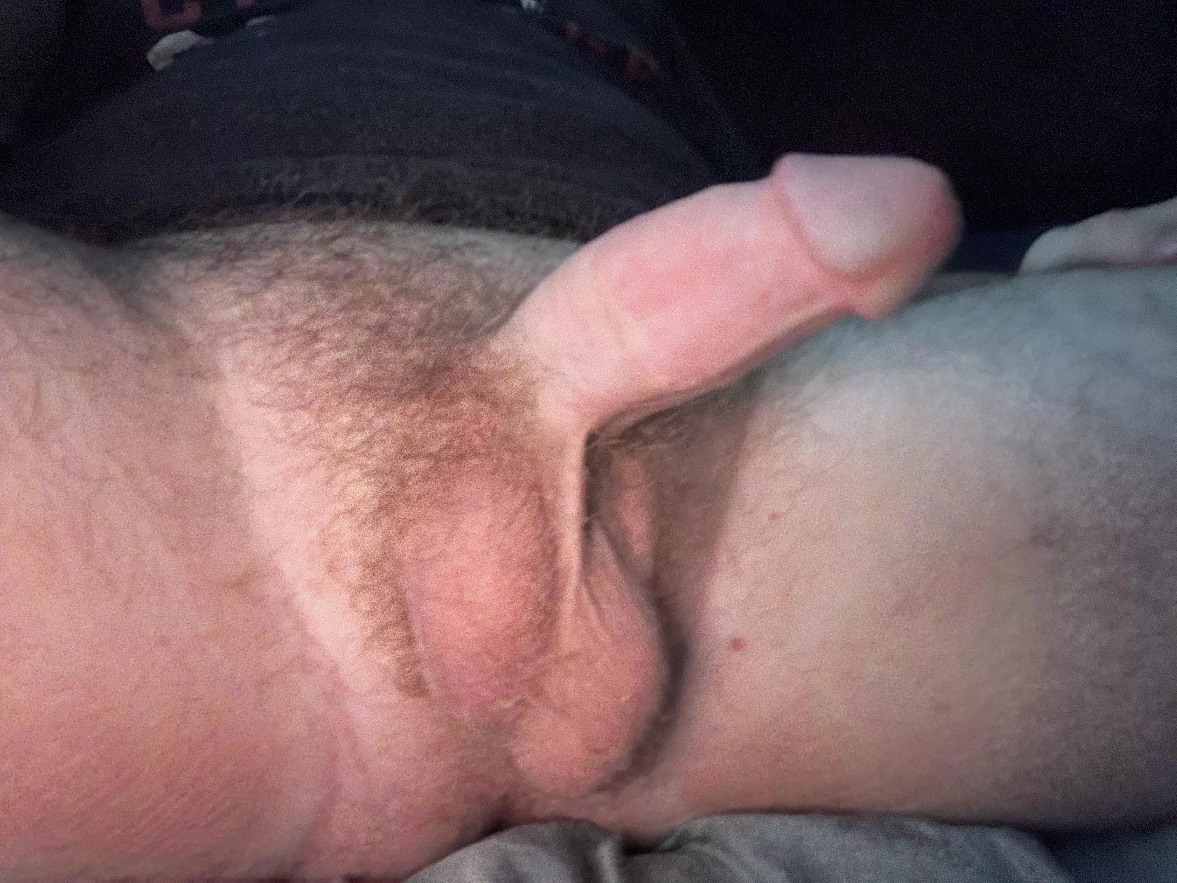Should I shave it? posted by BoredGuy1999x