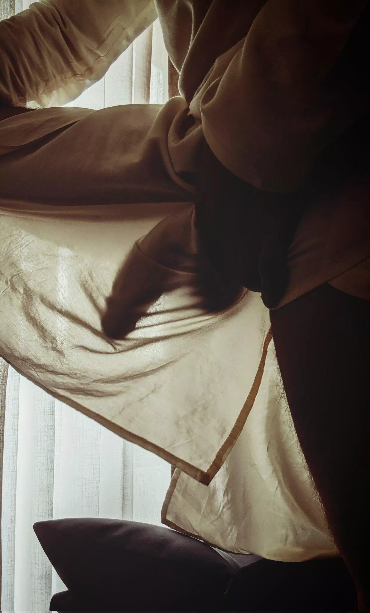 Silhouette of horse dick posted by Relative-Tooth-2564