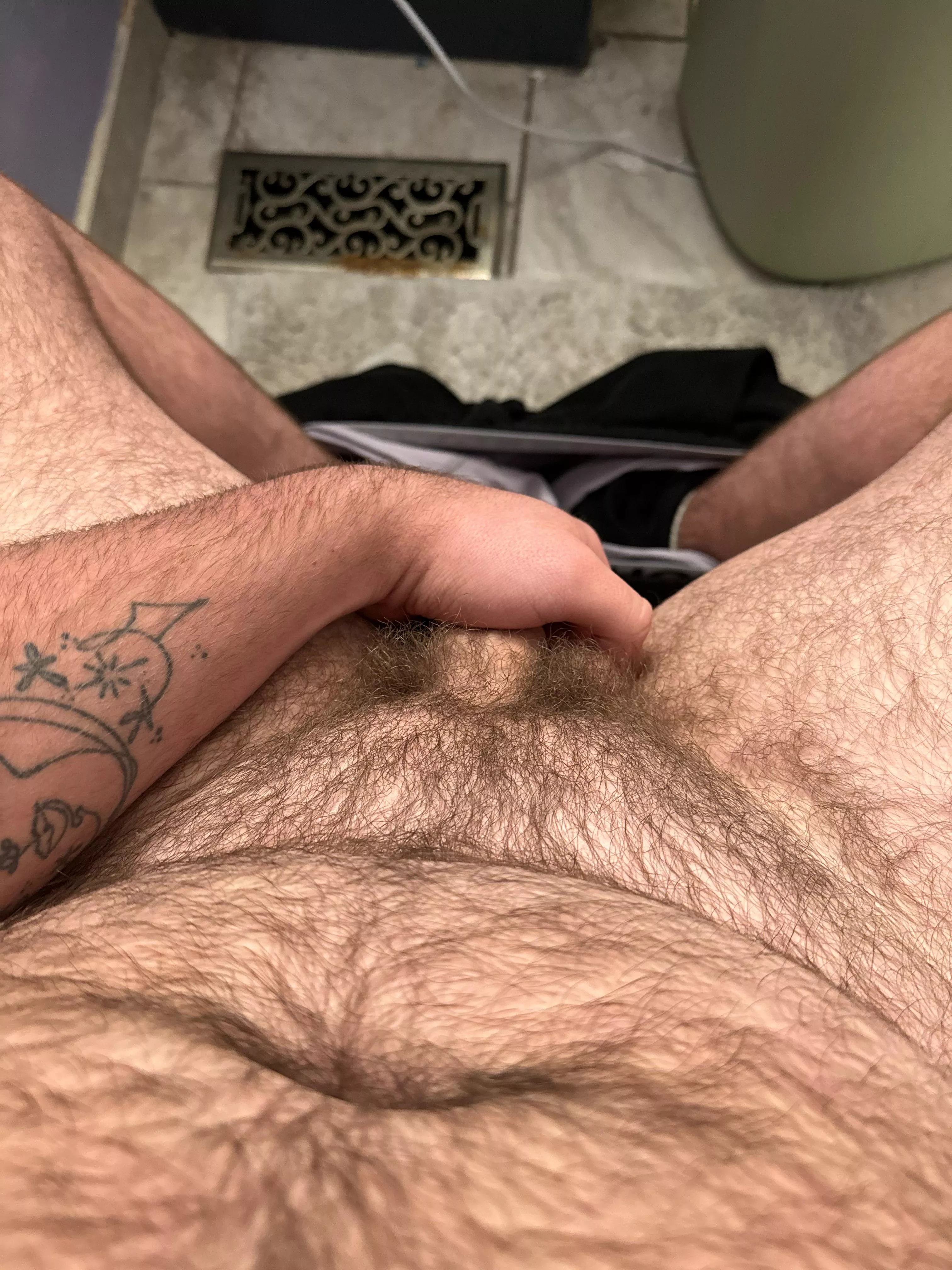 Thoughts? posted by Triscum