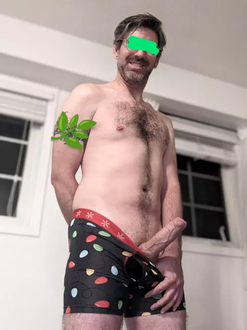 Time to take down the Christmas lights by Bookie_Monster86