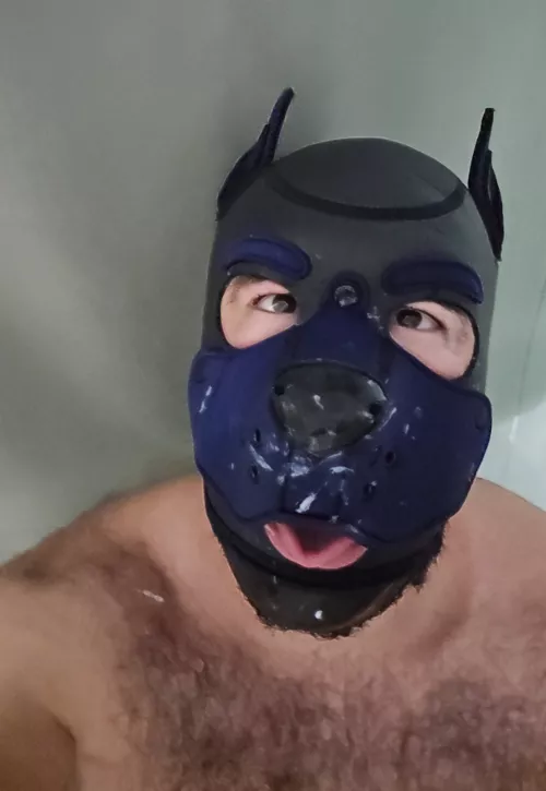 Trucker spunk on my muzzle 😈🐶💦 by Pup_Ammo