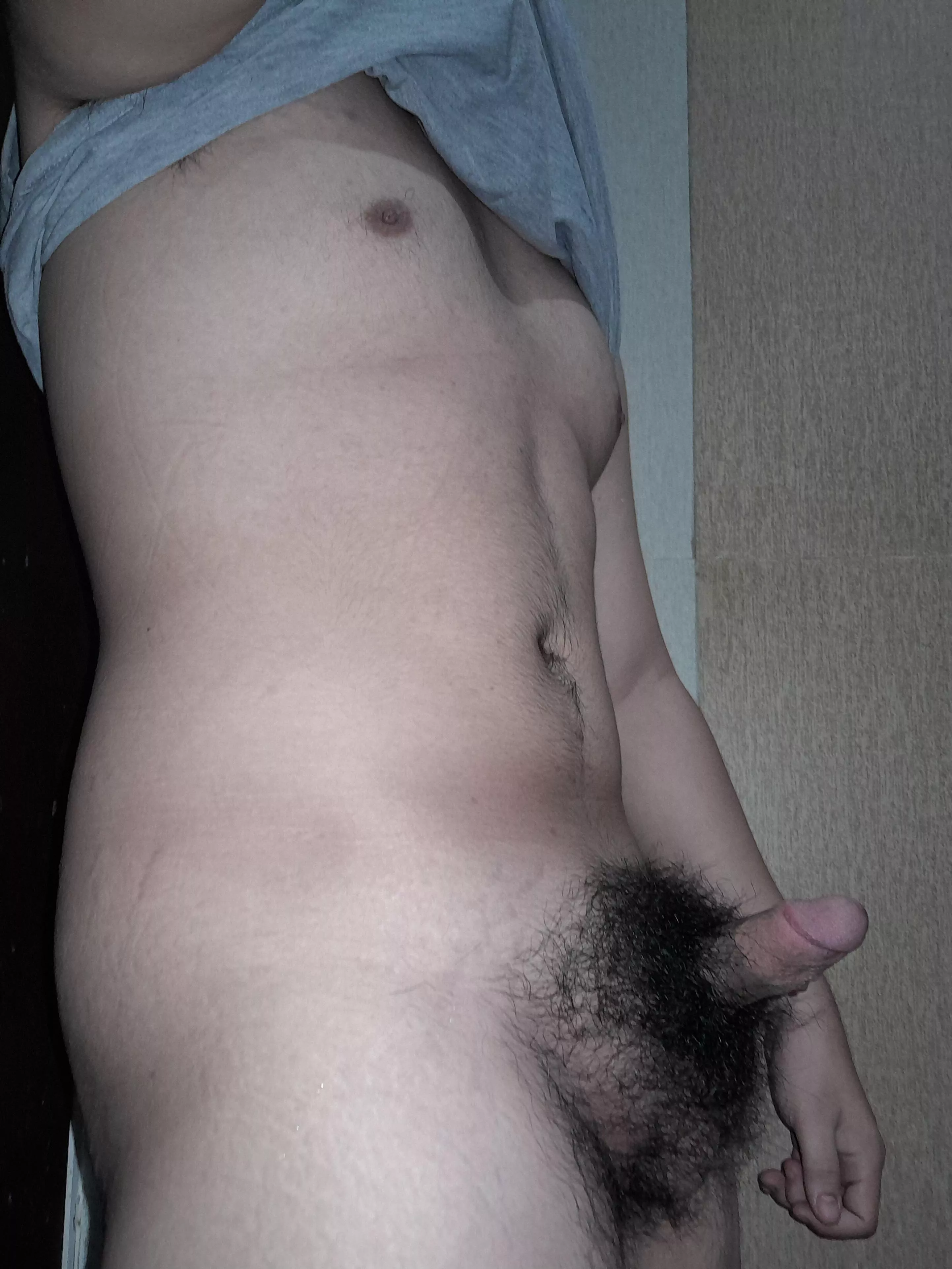 Weather's kinda cold... good thing my bush is kinda thick haha posted by wartortoll