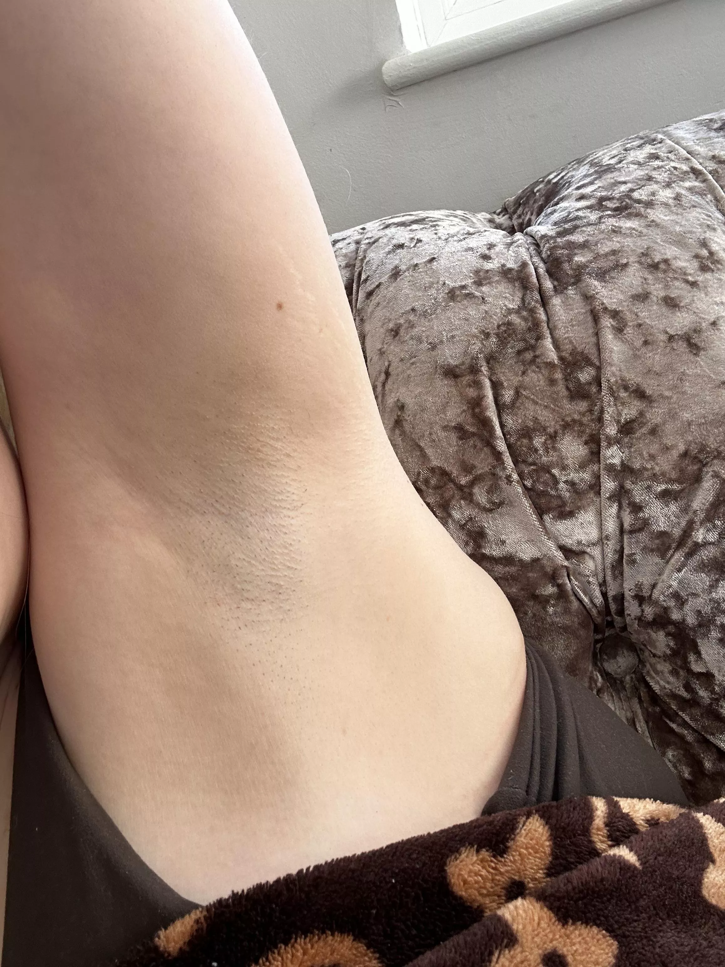 What do you think they smell like? posted by No_Hedgehog_8647