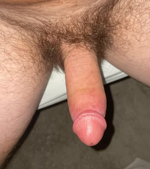 Care to play with it? by tcollegeguy