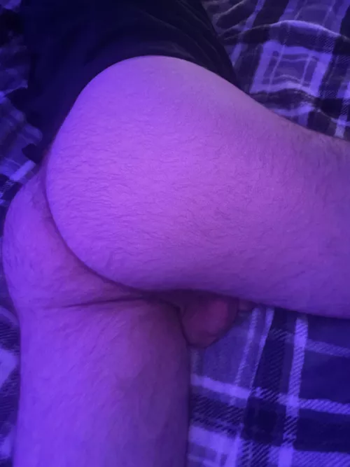 Dig in won’t you? by Full-Squirrel5354