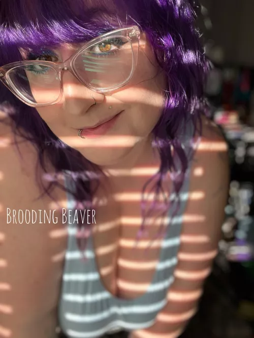 Finally got some sun ☀️ by BroodingBeaver