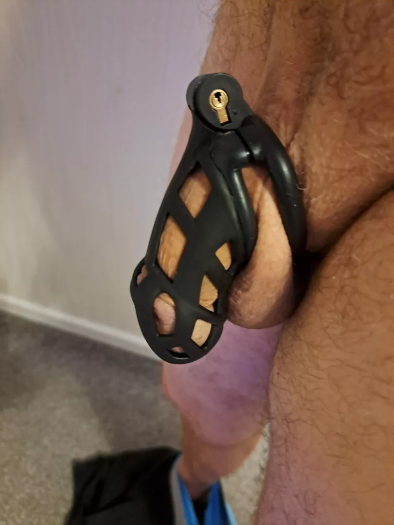 First time ever caged! posted by EnvironmentalTip120