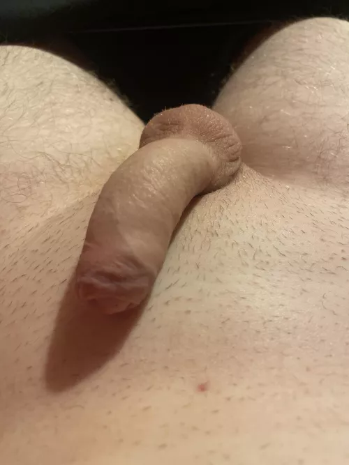 First time poster here , what y’all think by Michael_Michael18