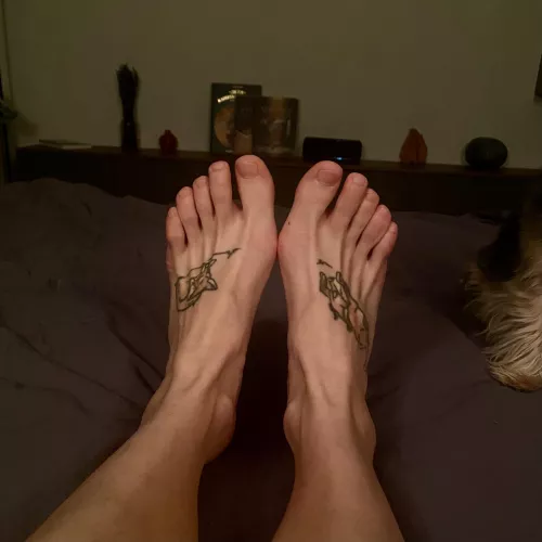 good evening…oc by WillingAstronaut1838