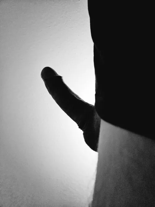 hard silhouette by willgrahamthird