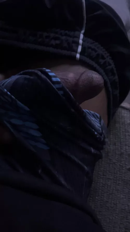 How's he looking by Last-Chef-3263