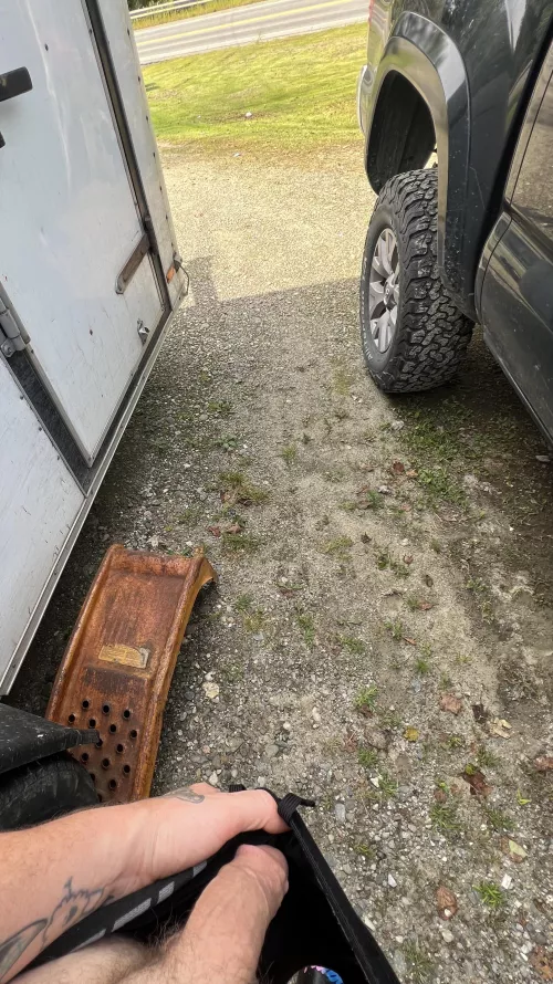 Look if you wanna by Odd-Fox7709