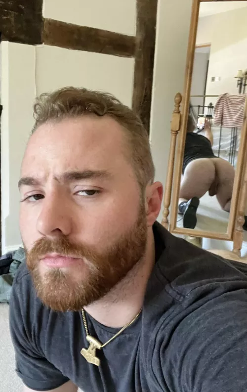 Need a face to sit on. by manifold3r