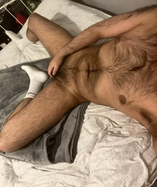 🦦 or 🐻 ? by Jay18-18