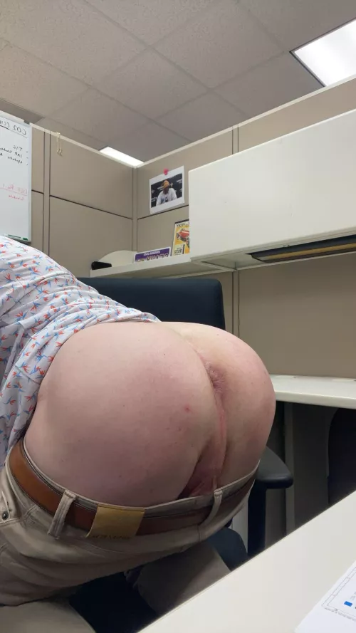 Pop by my office, I brought you some lunch.. by jgatz1249