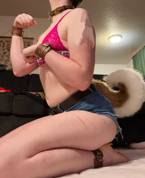 Puppyboi’s first tail~! by elfprince_ftm