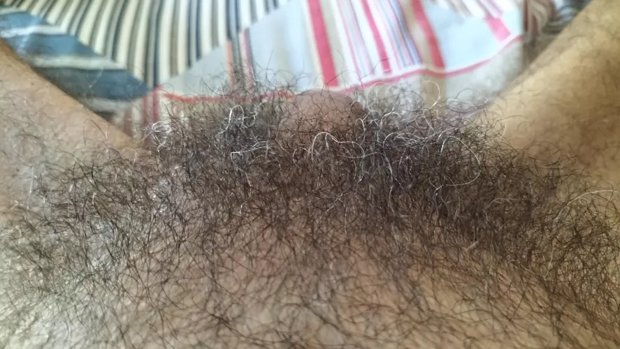 The African bush by Consistent_Meat_4993