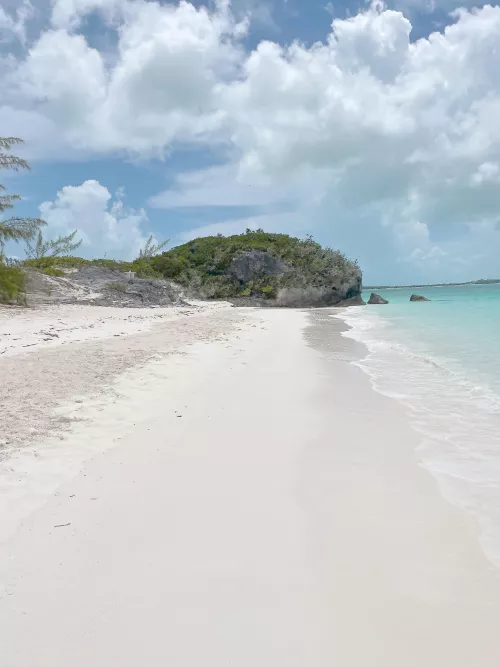 The Enchanting Path to My Secret Spot by Admirable-Boat-5318