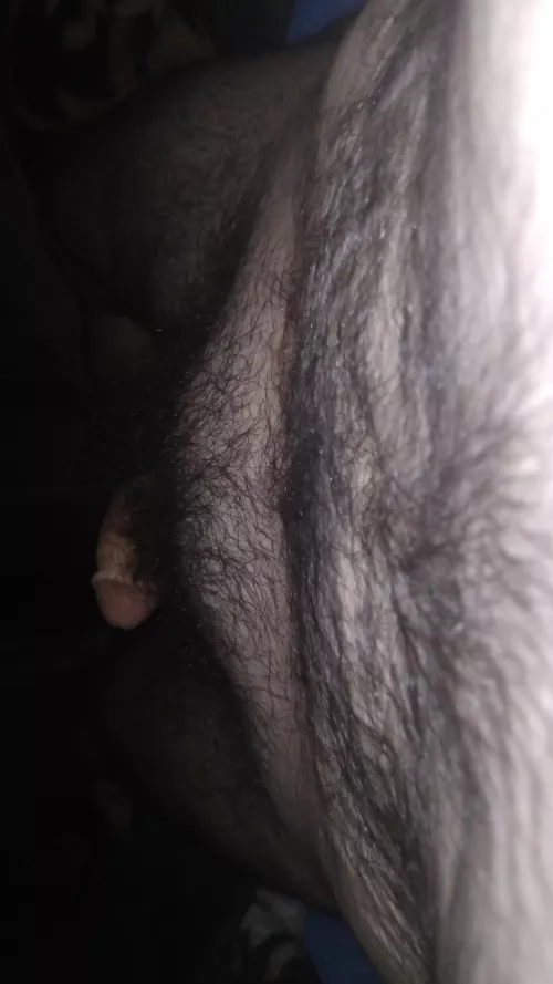 Valley of fur by Few-Progress-2317