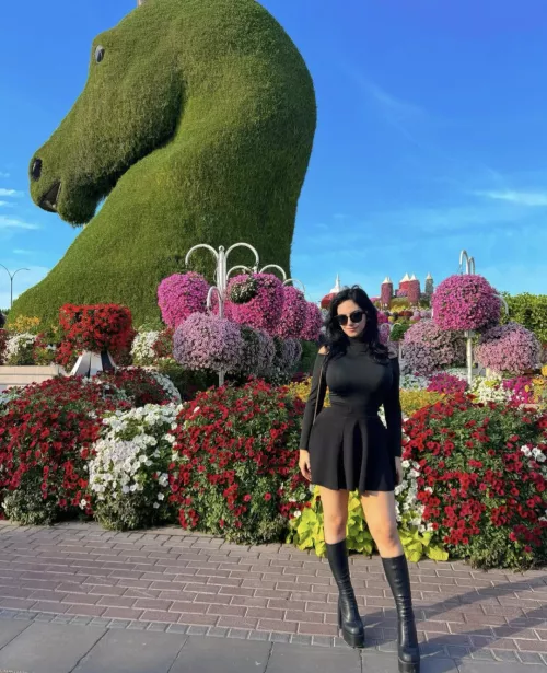 Wow by Southern_Egg7540