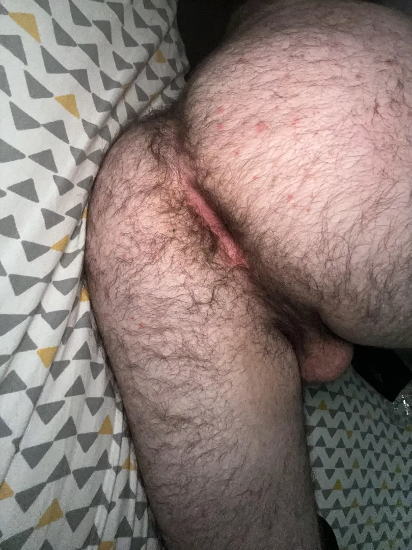 (20) who wants a grab bears? posted by Ok-Brush7222