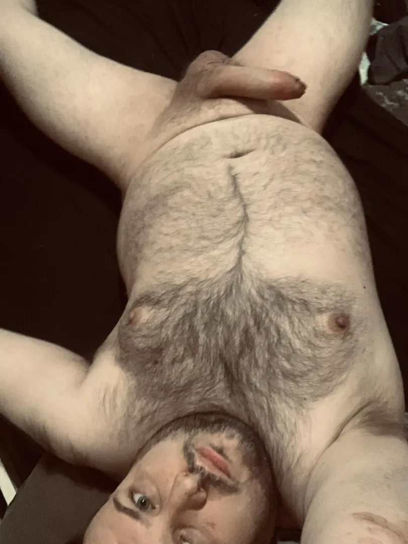 Bear with a big fat cock by Rude-Requirement-417
