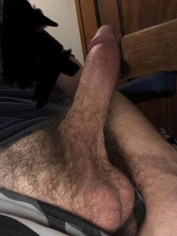 Hairy shaft and balls, the way it should be posted by Senor_Dickman