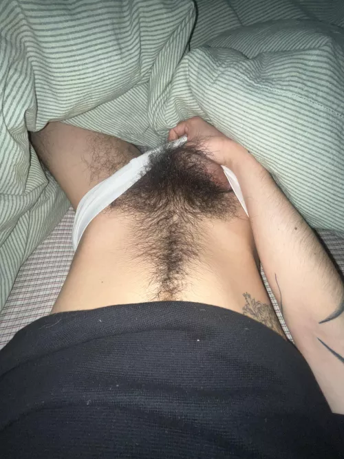 Haven’t trimmed in so long by neighbor_dick